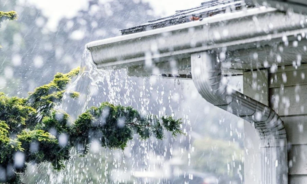 Summer-Rain Cleanup Decisions in Richmond Hill Depend on What Was Wet, Not What Was Loud